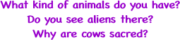 What kind of animals do